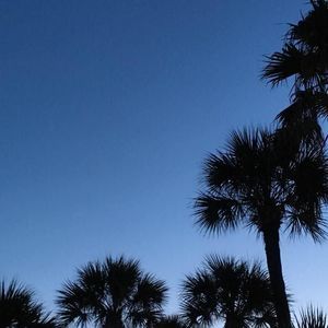 Meet your Posher, Cari